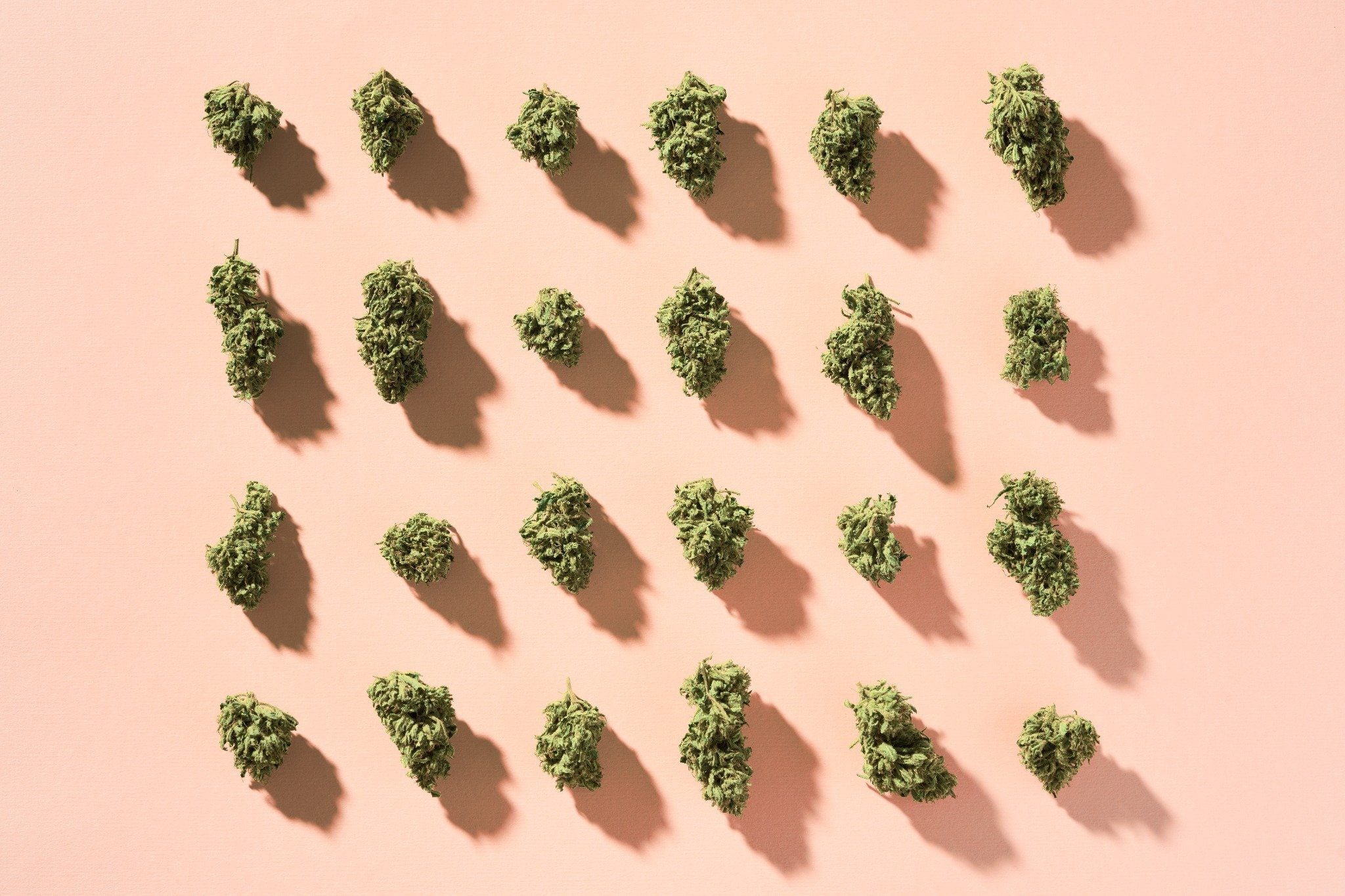 progro blog meet the summer drop new strains that slap